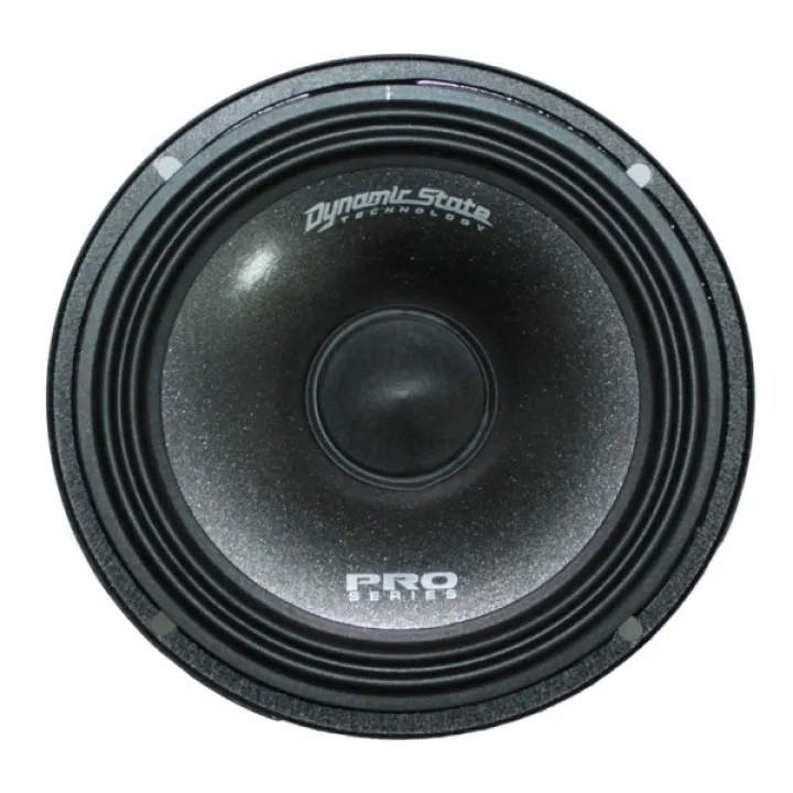 Dynamic State PM-165.3 Pro Series эстрадная акустика от ReLoud