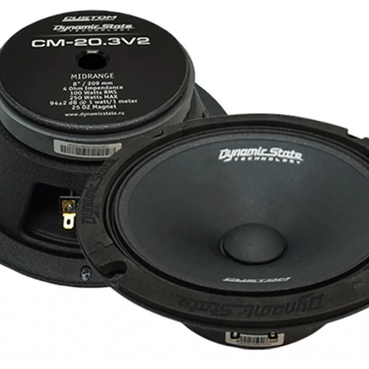 Dynamic State CM-20.3v2 эстрадная акустика от ReLoud