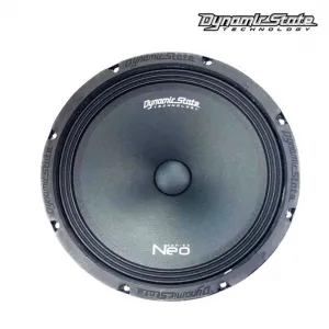 Dynamic State NM-25.1 Neo эстрадная акустика