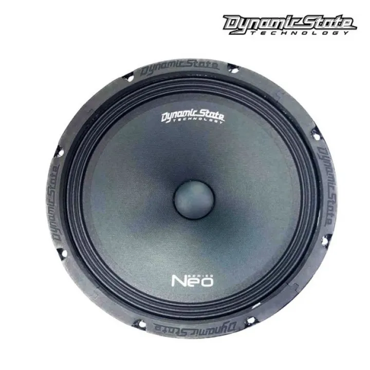 Dynamic State NM-25.1 Neo эстрадная акустика от ReLoud