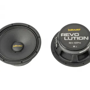 Swat  REV-65PRO v2 эстрадная акустика