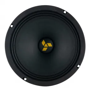 Swat MAS-80Pro эстрадная акустика