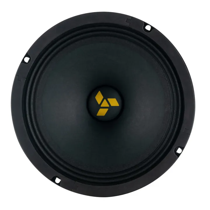 Swat MAS-80Pro эстрадная акустика от ReLoud