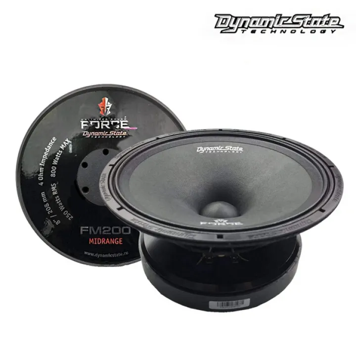 Dynamic State FM200 FORCE эстрадная акустика от ReLoud