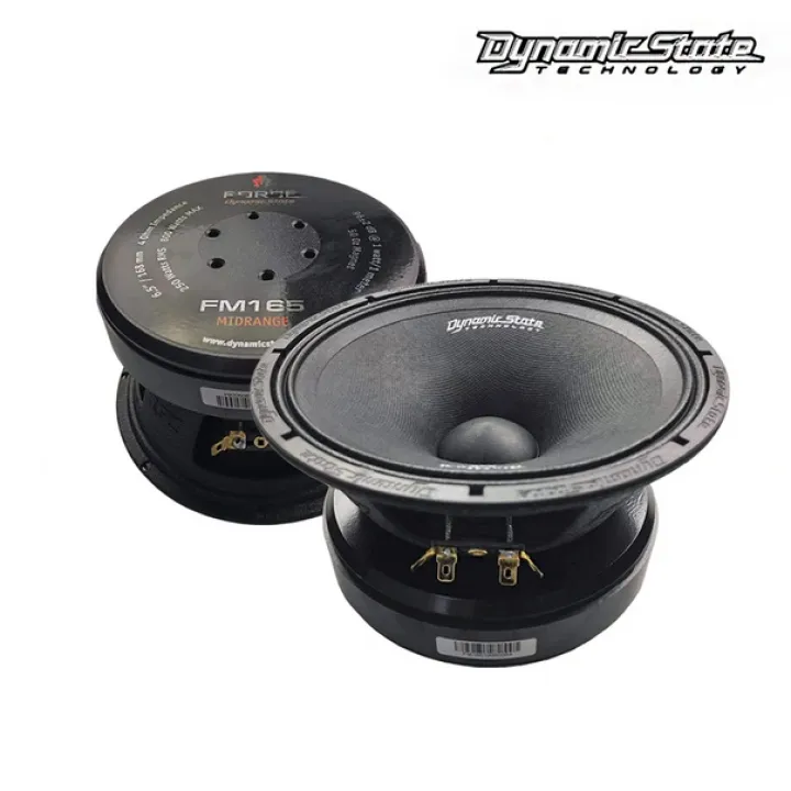 Dynamic State FM165 FORCE эстрадная акустика от ReLoud
