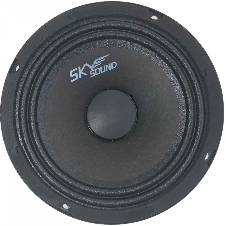 SkySound SSB-65 эстрадная акустика от ReLoud