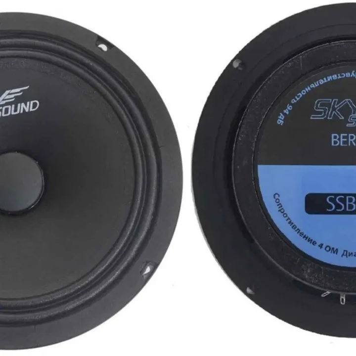 SkySound SSC-85 эстрадная акустика от ReLoud