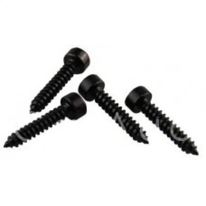 AUDIO NOVA Hexagonal screws BLK 4*20 от ReLoud