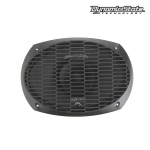 Dynamic State CM-69V Voicer эстрадная акустика