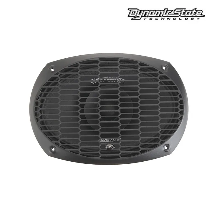 Dynamic State CM-69V Voicer эстрадная акустика от ReLoud