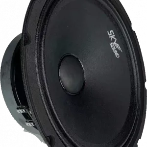SKYSOUND HARPY SSH-250 эстрадная акустика