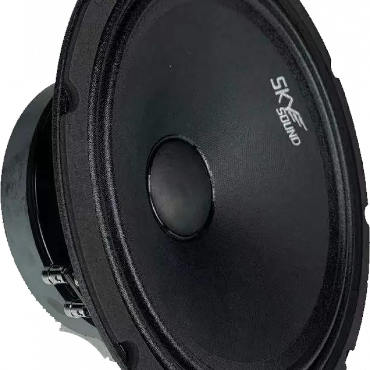 SKYSOUND HARPY SSH-250 эстрадная акустика от ReLoud