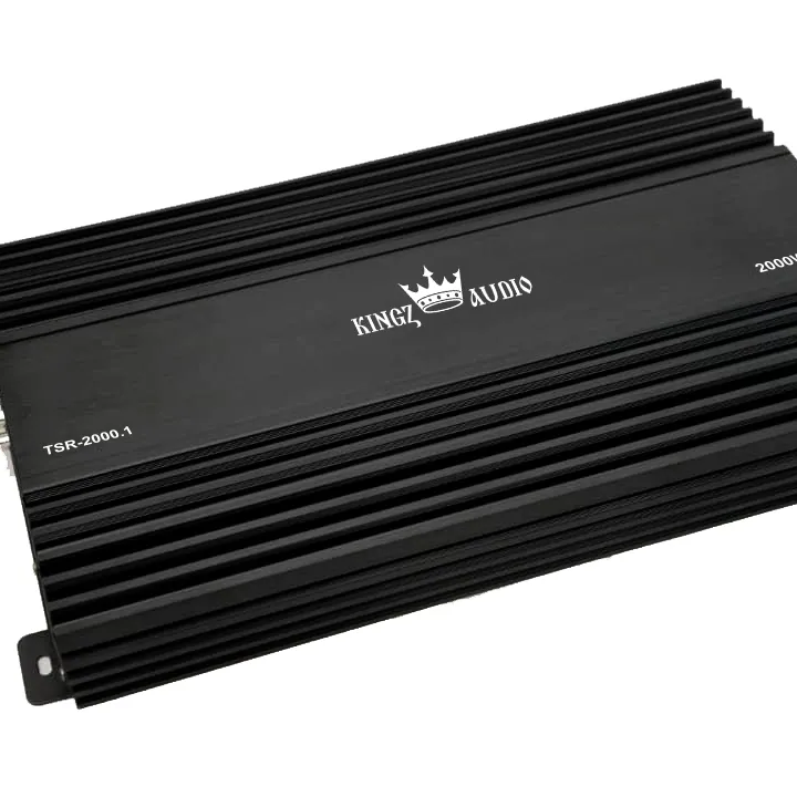 Kingz Audio TSR-2000.1 усилитель от ReLoud