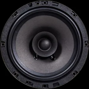 AMP PROMO FR 65 ver.2 акустика