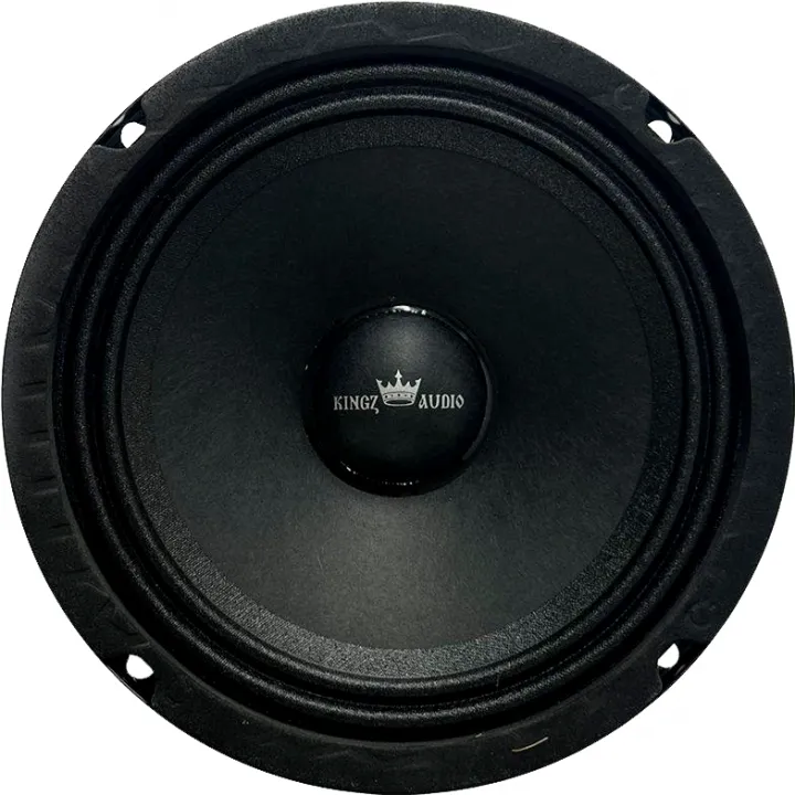 Kingz Audio WP-65 эстрадная акустика от ReLoud