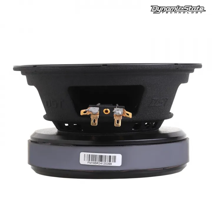 Dynamic State FM165R FORCE эстрадная акустика от ReLoud