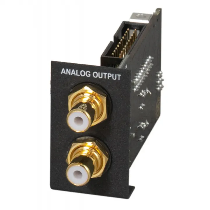 Brax DSP Core - Analog Output AKM от ReLoud