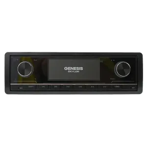 SKYLOR GENESIS RS-690DSP 1din магнитола